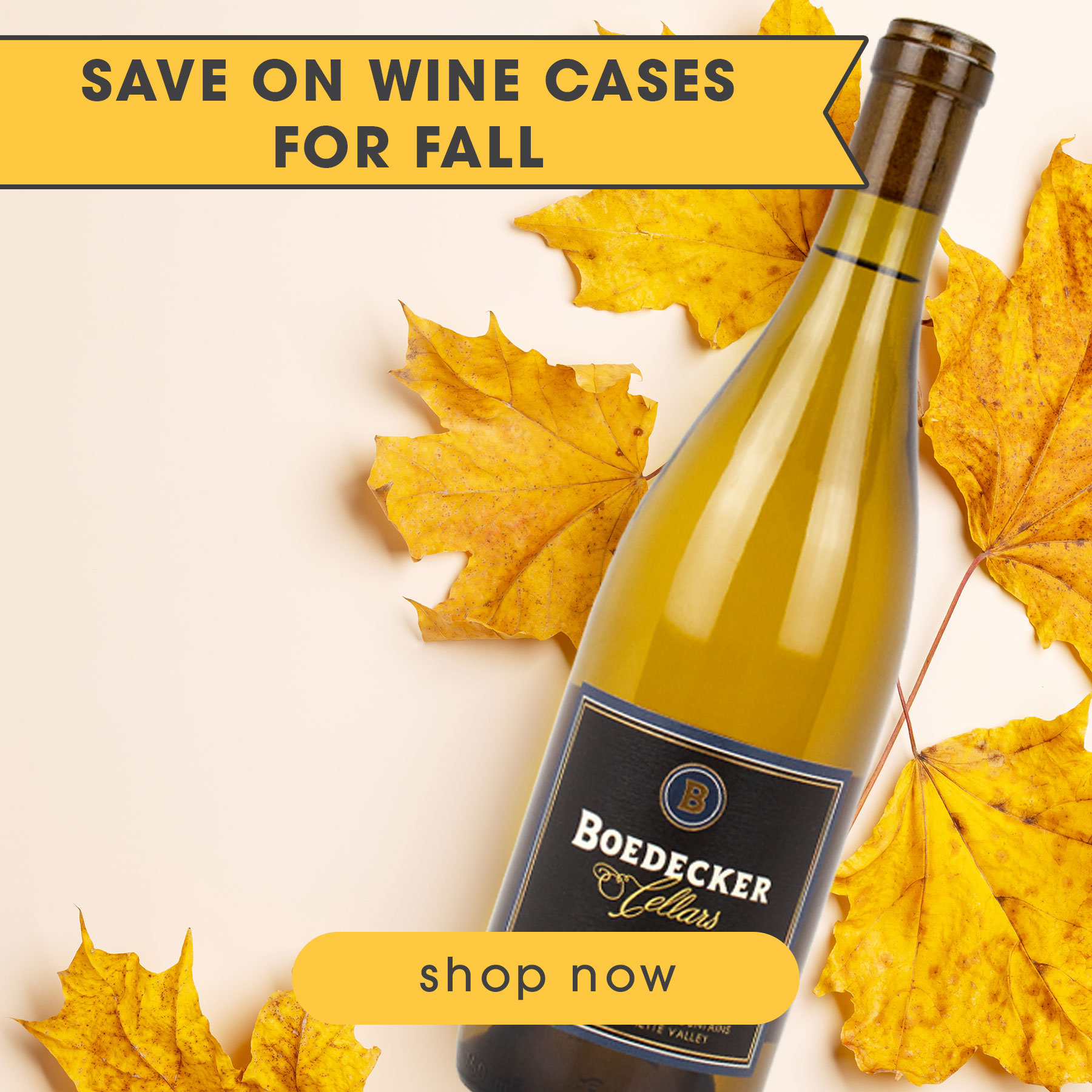 save on cases of fall wine | Food Related | San Antonio TX