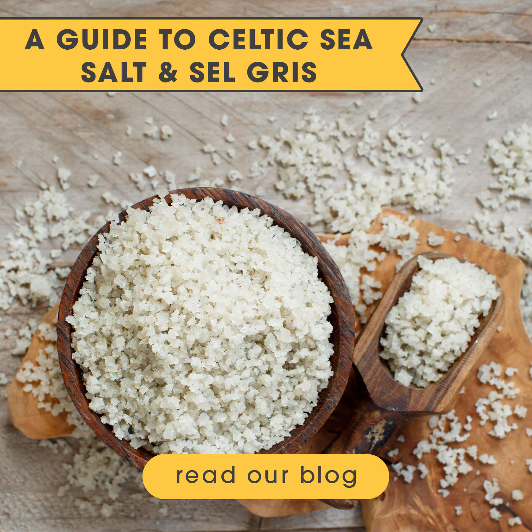 A Guide to Celtic Sea Salt and Sel Gris - Read Our Blog | Food Related | San Antonio TX